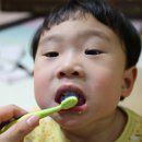 푸치베베 이미지