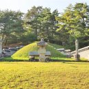 영월-4