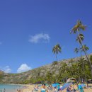 (주)대승도고로얄호텔 | 여행 인플루언서 혀니 2025년 결산