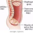 루시드바디필라테스