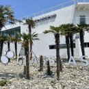 글래씨스(GLASSEAS) 이미지