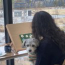 머꼬또머꼬 이미지