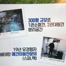 젠틀펫동물병원 이미지