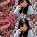 피자익스프레스(군산점) | 2025.6.zip🍀