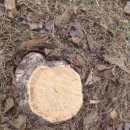 무무라게스트하우스 이미지