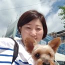 위트너스 이미지