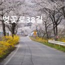 벚꽃로38길 이미지