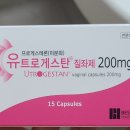 우리가축 인공수정 이미지