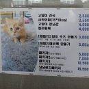 모할고양