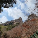 제생당약국 이미지