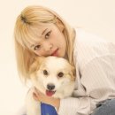 정연