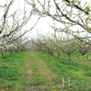 일조농장 이미지