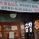 꿀때기 이미지