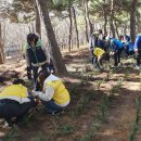 정왕3동 행정복지센터 이미지