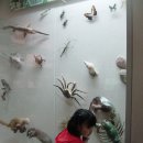 민성사우나 이미지