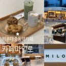 해운대 중동역카페 CAFE MILO 카페마일로 해운대세무서점 분위기 아늑하고 시원한 신상카페 (+ 달고나...
