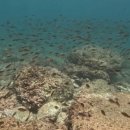 마이제주투어