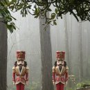 비클릭 | [7탄] 비 오는 날 신트라 투어 | 페나궁전· 헤갈레이라 궁전 코스 후기