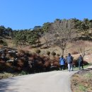 청성목장 이미지