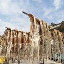 백마상회 이미지