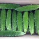 여주-0667 이미지