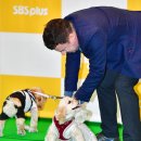 댕댕CLUB 이미지