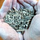 moon 도자기 이미지