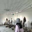 DOT미술관 이미지