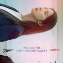 다시 봄 이미지