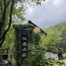 초록산장 | 포항 선류산장 카페 운전해서 직접 다녀온 후기 메뉴