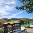 서산 노을빛바다 캠핑장 1박 이용 후기 | 바다뷰 가을캠핑