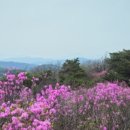 진달래약수터 이미지