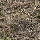 만산농장 이미지