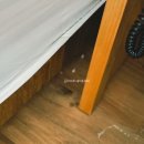 장유넘버25호텔 이미지