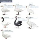 유림헤어샾 네이버블로그