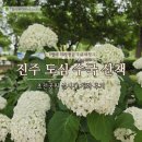 세븐일레븐 진주초전공원점 | 진주 도심 속 수국 산책, 초전공원 실시간 개화 후기
