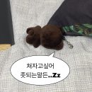 꿈보다 꿈같은 곳으로 좀 더 많은 순간들을 나누고싶어