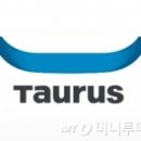 디에스파트너