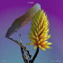 Flume Feat. Tove Lo - Say It 이미지