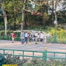 홍콩디즈니랜드) trial 2 월요일 오후 입장/흡연실/푸드코트/바로 공항