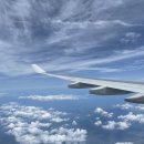 삼무세탁소 | 시리즈 아주 솔직하고 주관적인 후기 (데일리오아시스제주공항점, 삼무국수2호점, 도렐커피제주본점...