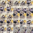 NR-30[달구벌대로]-하-8 | 찰나를 살아가자 찰나를 사랑하자