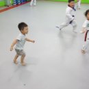 대룡태권도본관 이미지