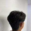 세미하임 이미지