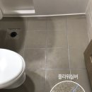 샤이니플라워 이미지