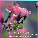 베트남 여행ㅡ다낭♡호이안 3박5일여행ㅡ다낭 재래시장 대성당ㅡ호이안 고대도시 ㅡ안방 비취 해수욕장ㅡ 이미지