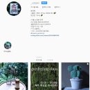 맑은약국 | 화분구매 : 내가 보려고 쓰는 두갸르송 외 유명토분5종 구매방법과 링크 총정리(두갸르송 디어마이팟...