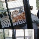 한사자농장 이미지