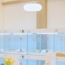 퍼피얌 그루밍 이미지