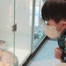 테이블에이 이미지